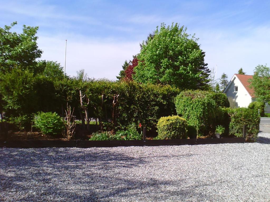 Svalegaarden Guesthouse Særslev المظهر الخارجي الصورة